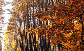 点赞兼职日薪诱人？深圳警方提醒这是新型网络兼职骗局