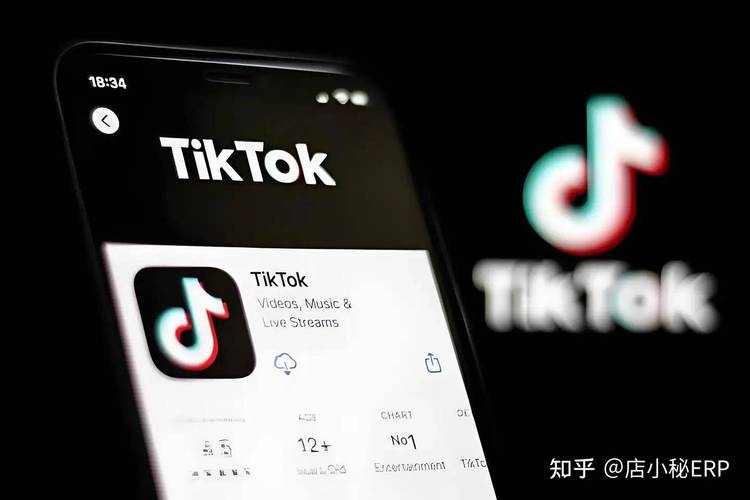 tiktok买粉_tiktok买粉风险_tiktok买粉价格